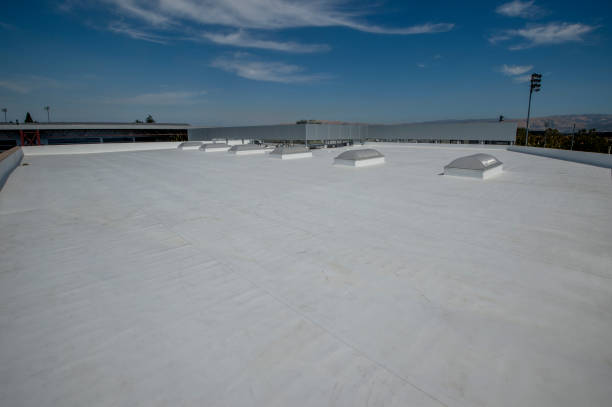 Best Chimney Flashing Repair  in Port Clinton, OH