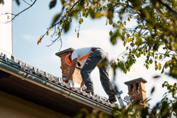 Fast & Reliable Emergency Roof Repairs in Port Clinton, OH